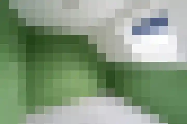 Mathilde Wibautsingel 35 Emmeloord thumbnail 50