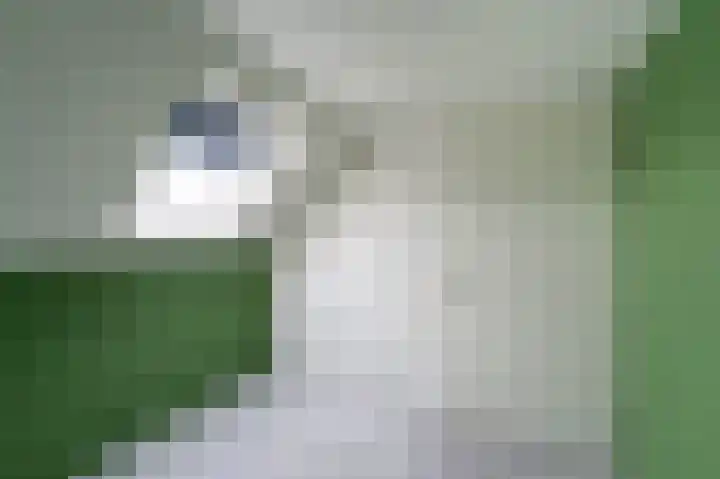 Mathilde Wibautsingel 35 Emmeloord thumbnail 51