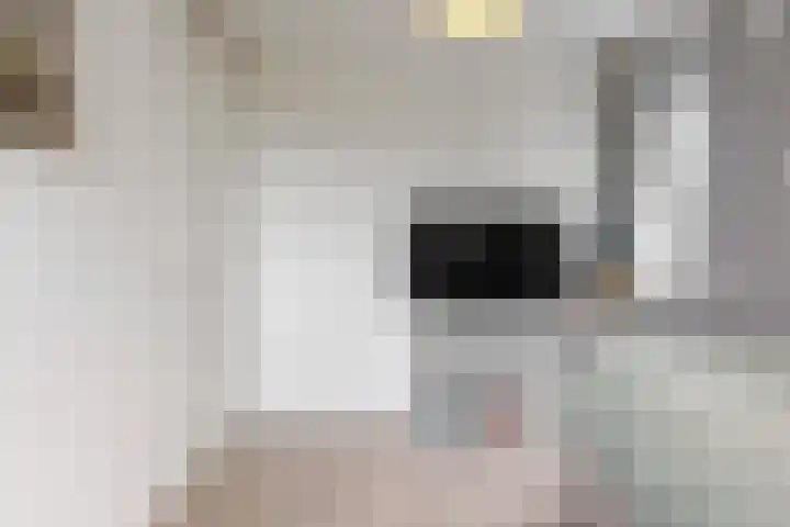 Mathilde Wibautsingel 53 Emmeloord thumbnail 17