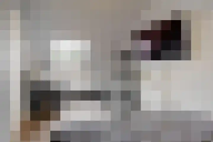 Mathilde Wibautsingel 53 Emmeloord thumbnail 23
