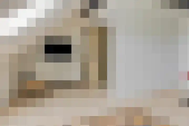 Mathilde Wibautsingel 69 Emmeloord thumbnail 25
