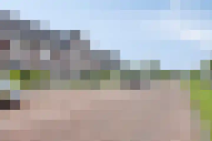 Mathilde Wibautsingel 69 Emmeloord thumbnail 31