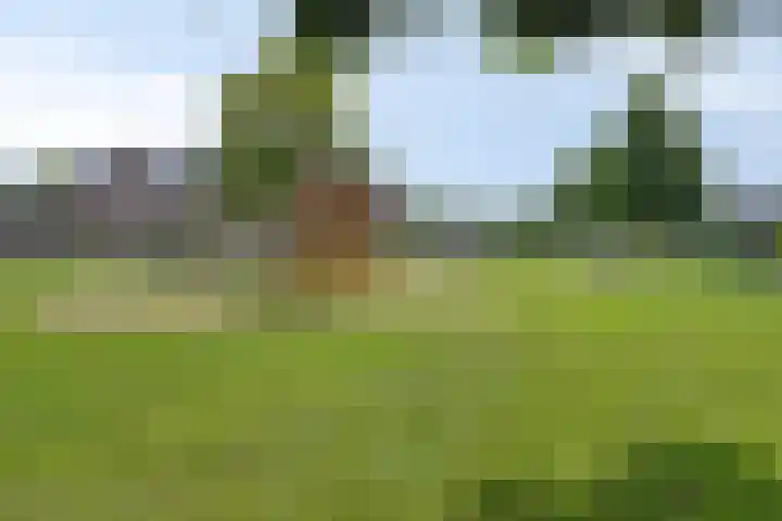Mathilde Wibautsingel 69 Emmeloord thumbnail 35
