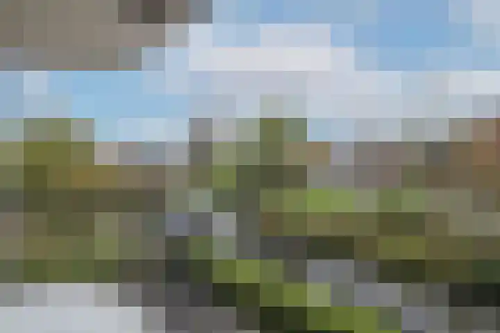 Mathildehof 14 Amersfoort thumbnail 21