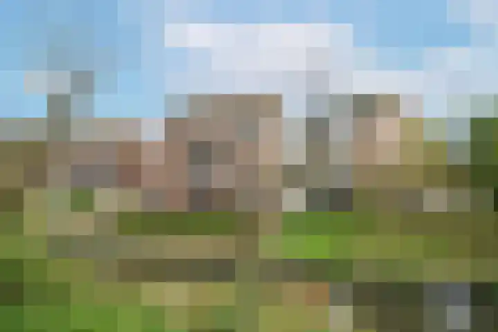 Mathildehof 14 Amersfoort thumbnail 25