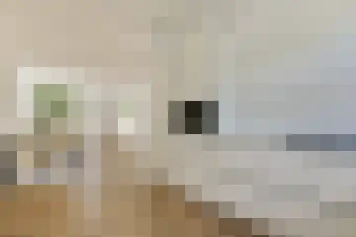 Matho Tongastraat 4 Almere thumbnail 16
