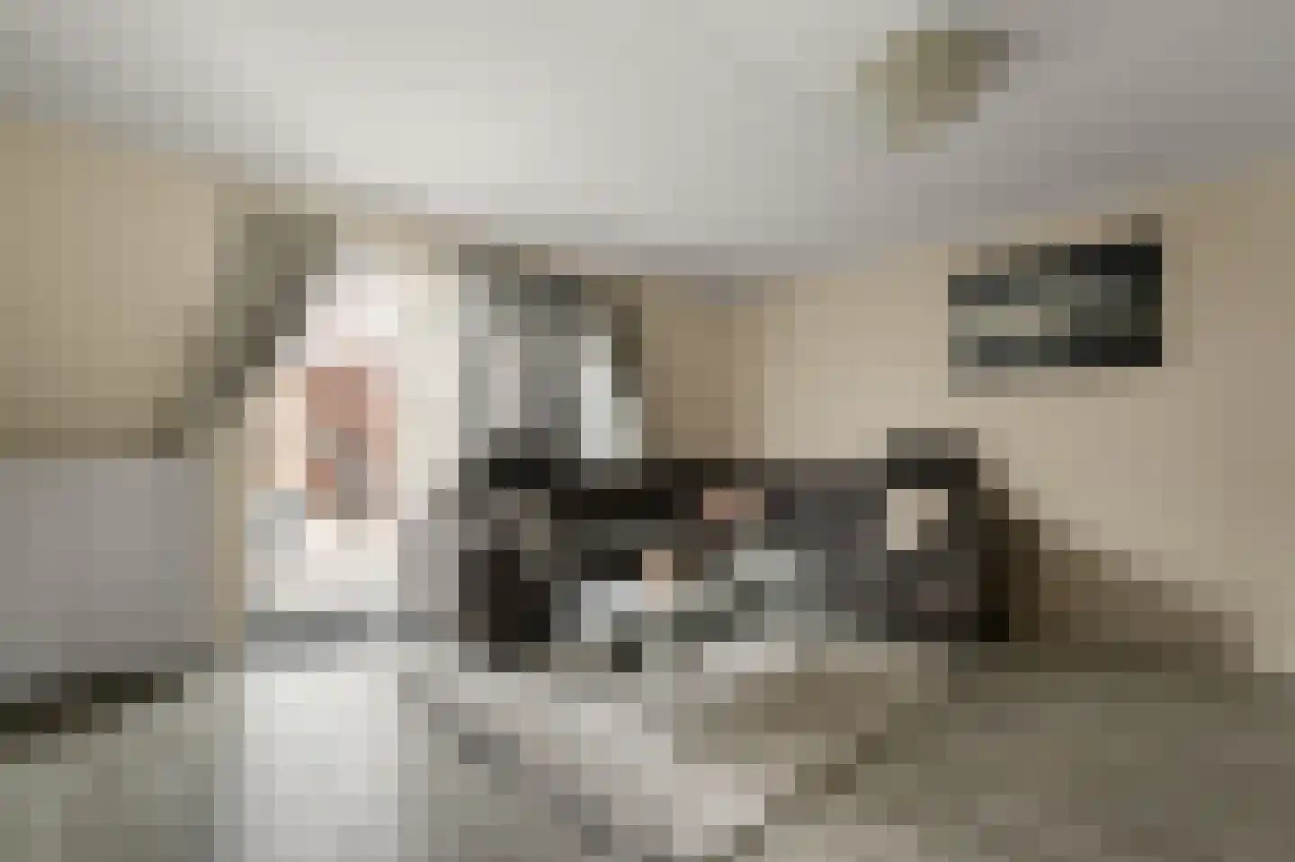 Mathurastraat 20 Amsterdam thumbnail 10