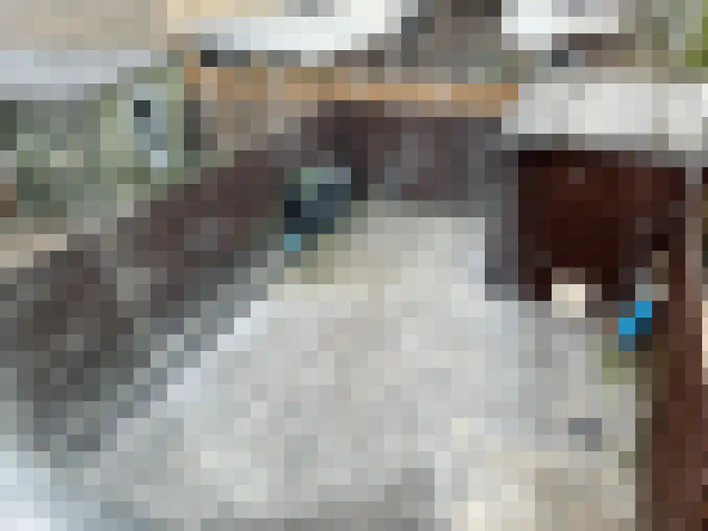 Mathurastraat 20 Amsterdam thumbnail 13