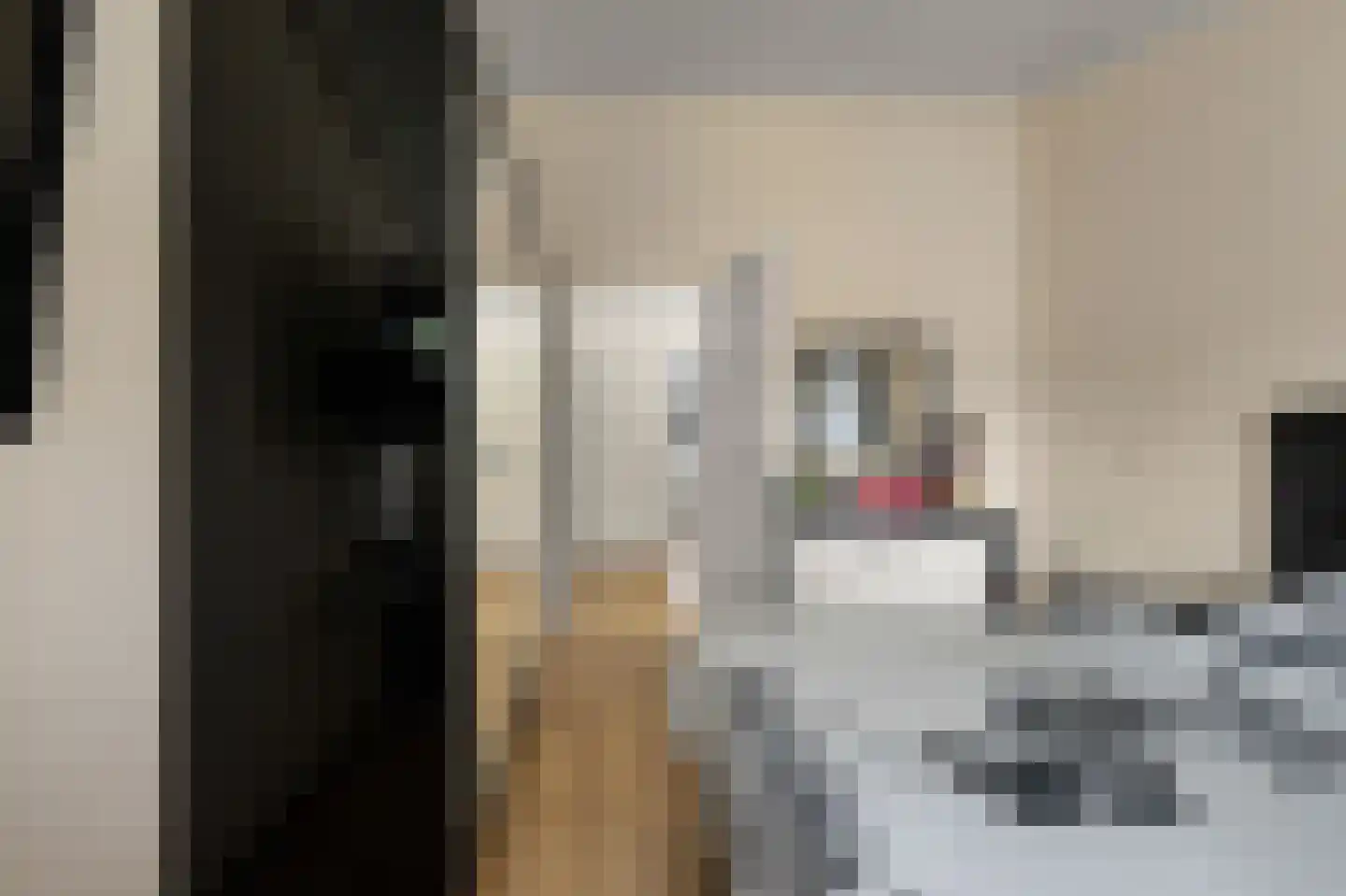 Mathurastraat 20 Amsterdam thumbnail 20