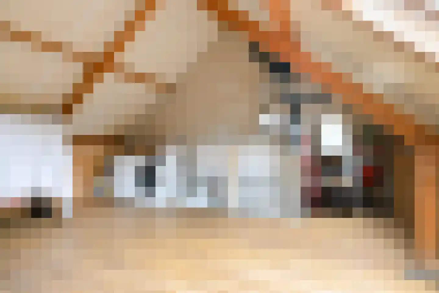 Mathys de Layenslaan 23 Eindhoven thumbnail 32