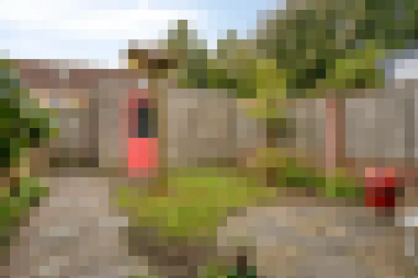 Mathys de Layenslaan 23 Eindhoven thumbnail 33