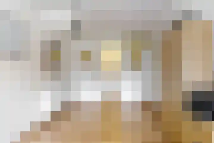 Matissehof 100 Hoorn thumbnail 13