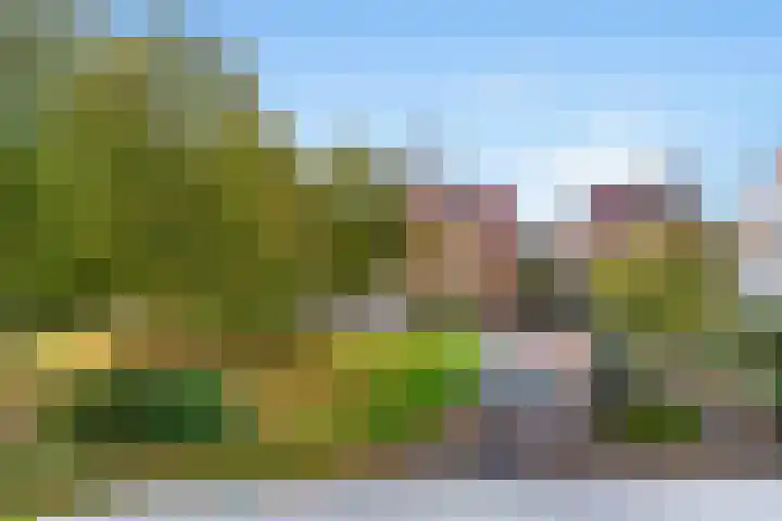 Matissehof 100 Hoorn thumbnail 20