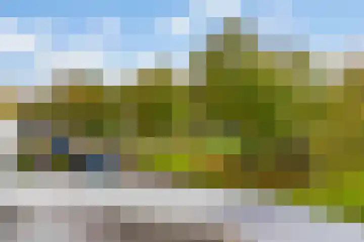 Matissehof 100 Hoorn thumbnail 4