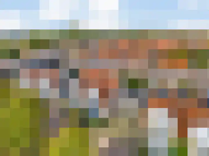 Matissehof 100 Hoorn thumbnail 41