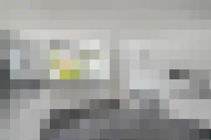 Matissehof 142 Hoorn thumbnail 16