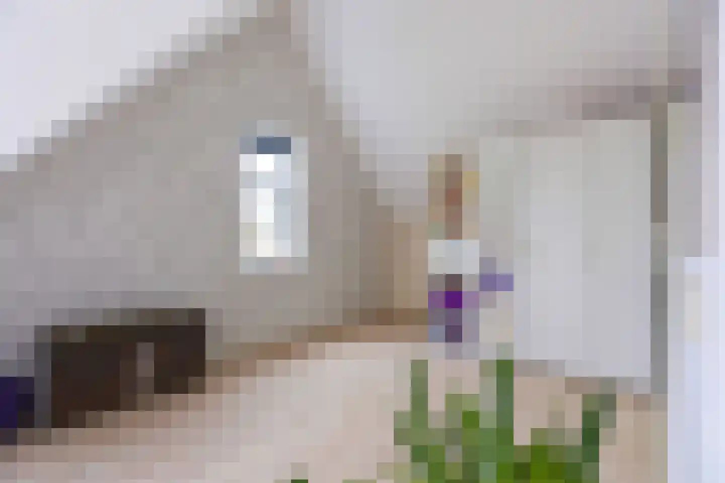 Matissehof 201 Hoorn thumbnail 33