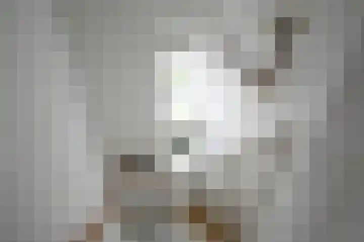 Matissehof 41 Hoorn thumbnail 23