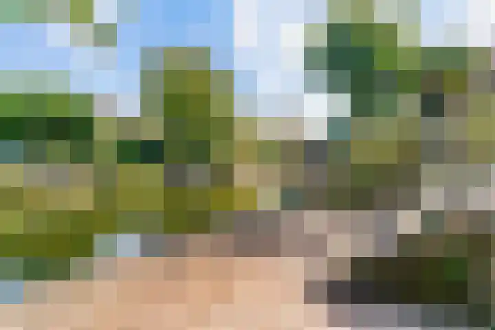 Matissehof 6 Hoorn thumbnail 28