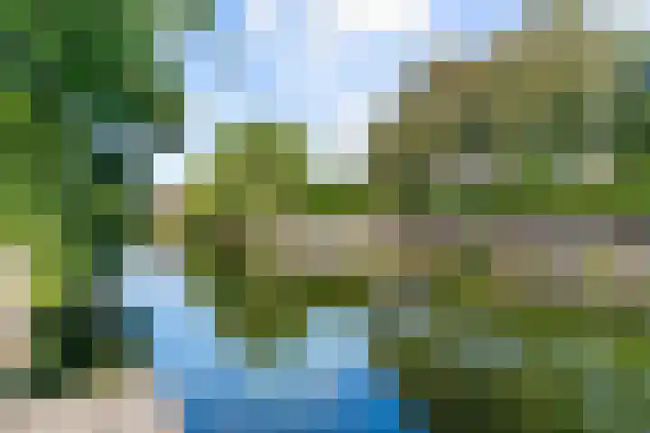 Matissehof 6 Hoorn thumbnail 29