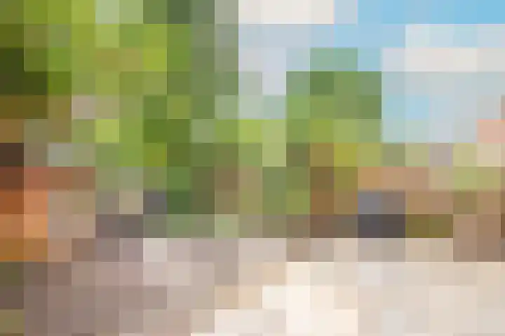 Matissehof 7 Hoorn thumbnail 5