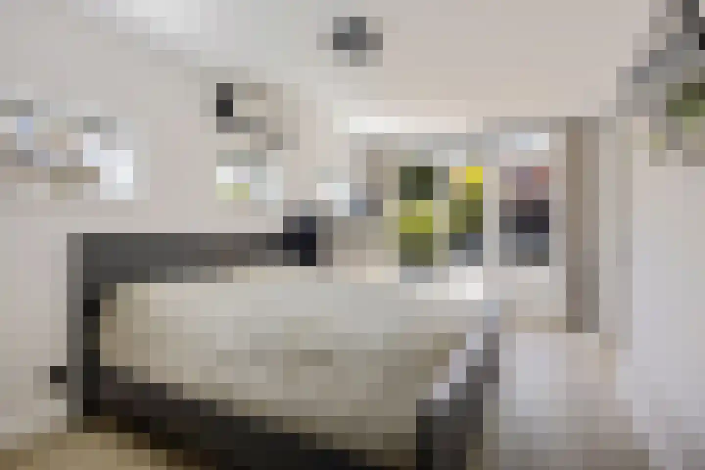 Matissehof 87 Hoorn thumbnail 22