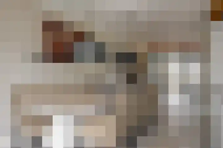 Matjador 98 Wervershoof thumbnail 16
