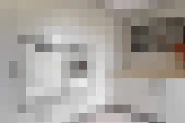 Matjador 98 Wervershoof thumbnail 17