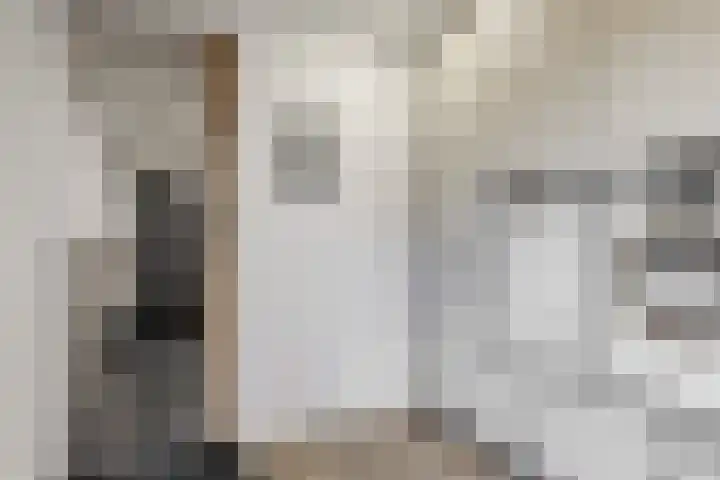 Matjador 98 Wervershoof thumbnail 18
