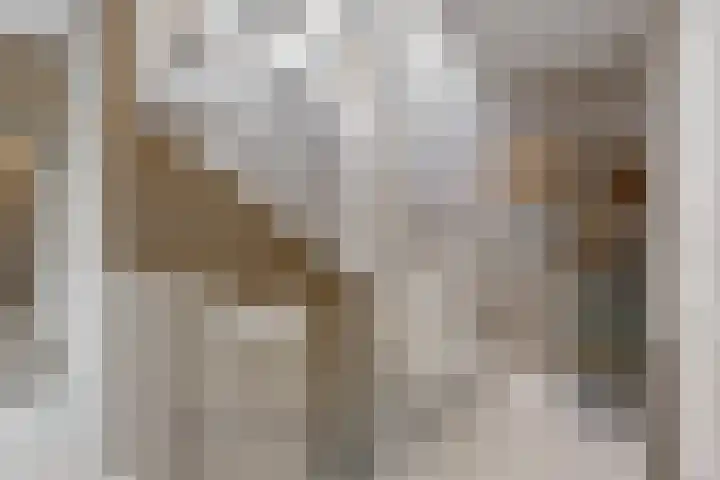 Matjador 98 Wervershoof thumbnail 21