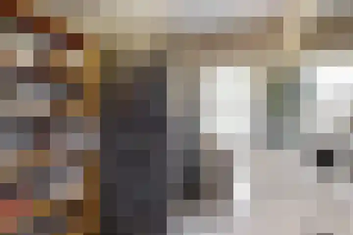 Matjador 98 Wervershoof thumbnail 23