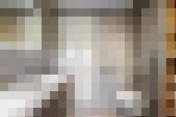 Matjador 98 Wervershoof thumbnail 25