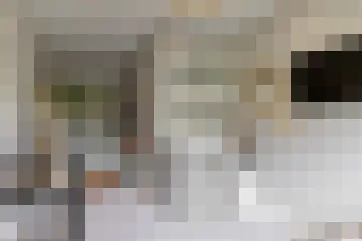 Matjador 98 Wervershoof thumbnail 28