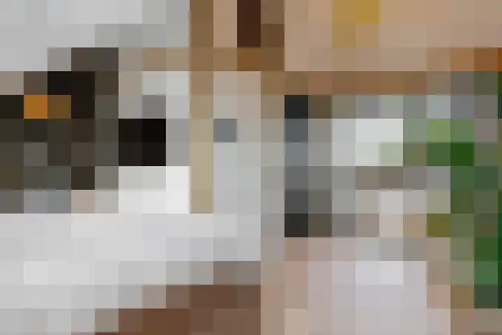 Matjador 98 Wervershoof thumbnail 34
