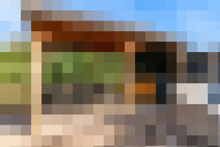 Matjador 98 Wervershoof thumbnail 44