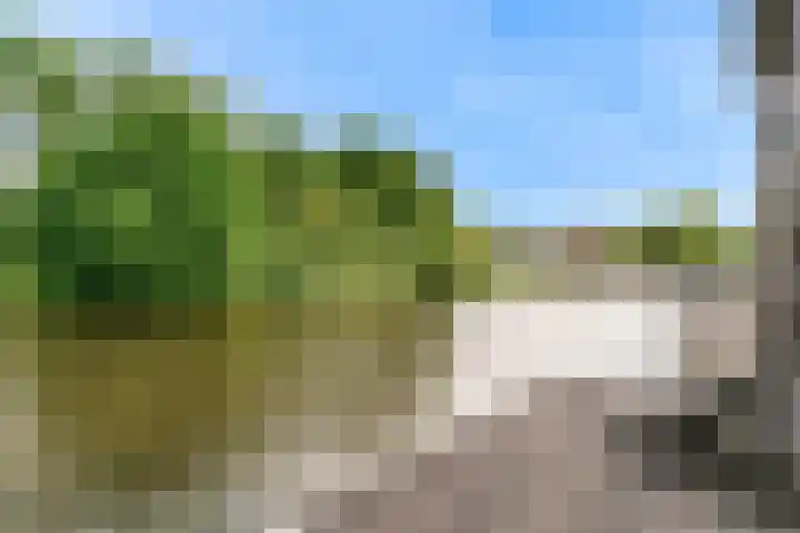Matjador 98 Wervershoof thumbnail 47