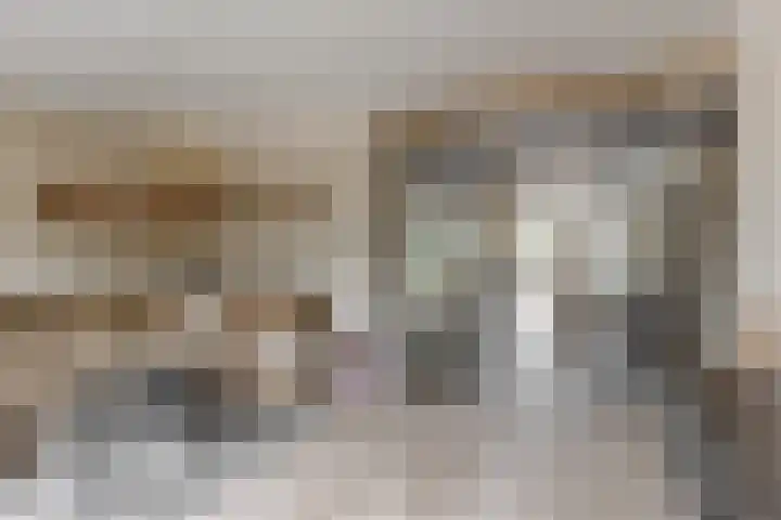 Matjador 98 Wervershoof thumbnail 6