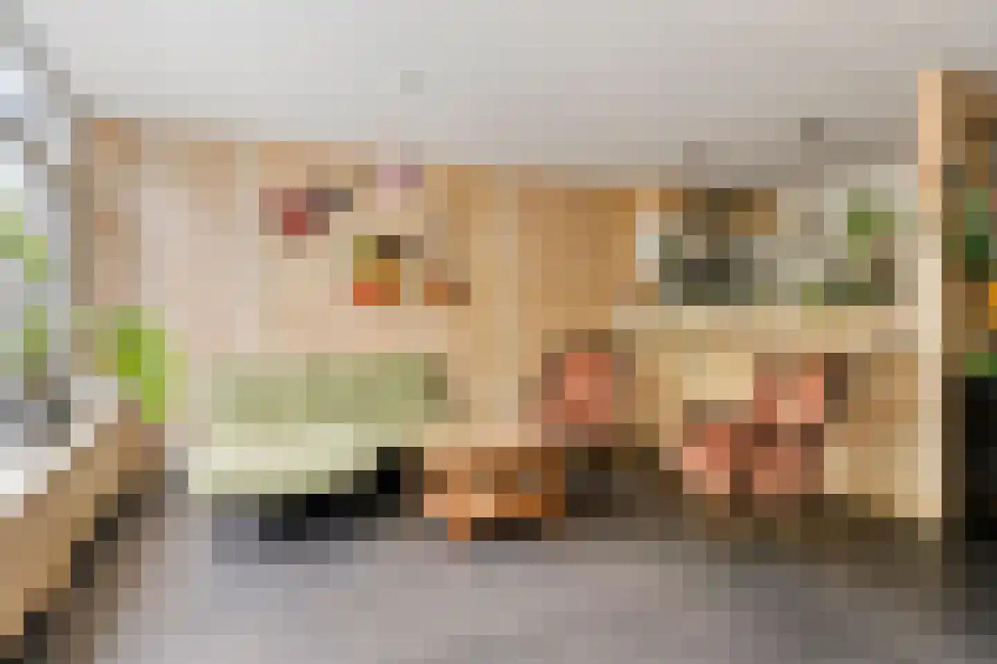 Matjeszoom 1 Koog aan de Zaan thumbnail 10