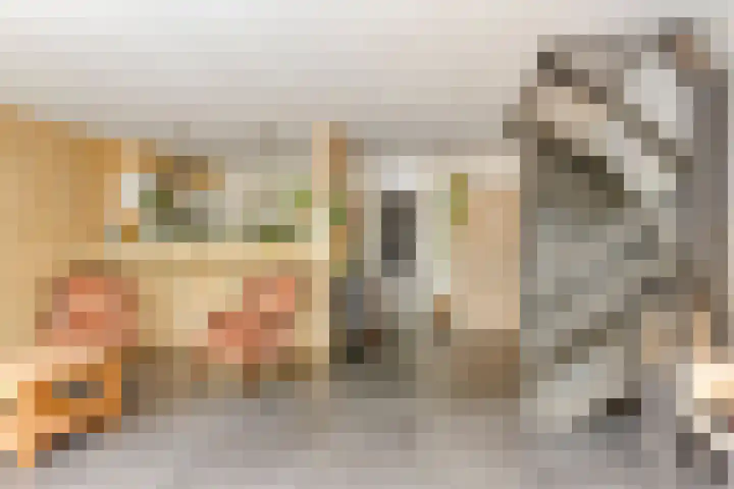 Matjeszoom 1 Koog aan de Zaan thumbnail 11
