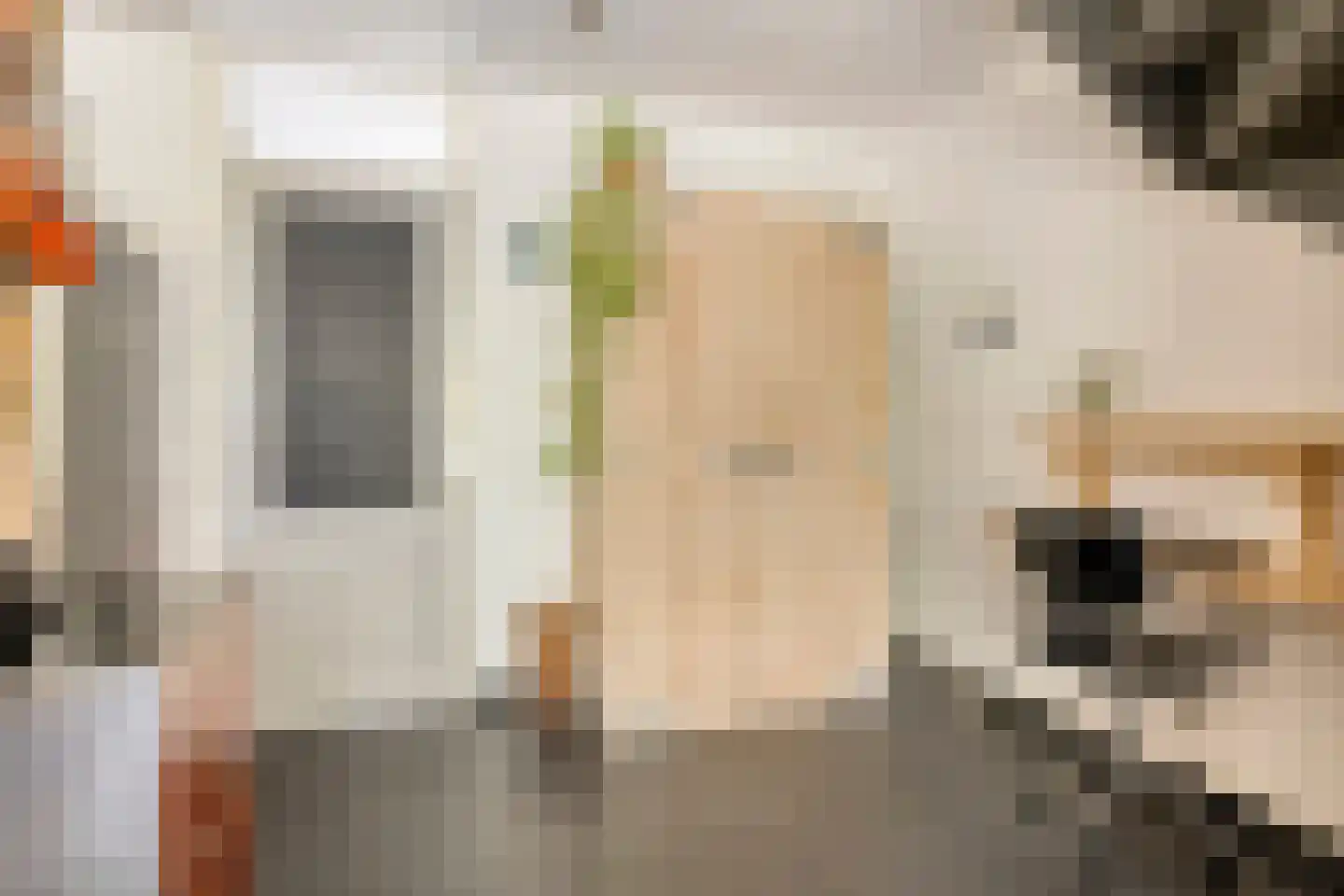 Matjeszoom 1 Koog aan de Zaan thumbnail 13