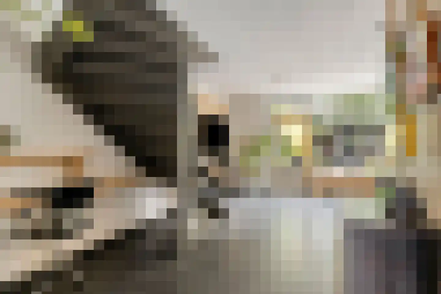 Matjeszoom 1 Koog aan de Zaan thumbnail 18