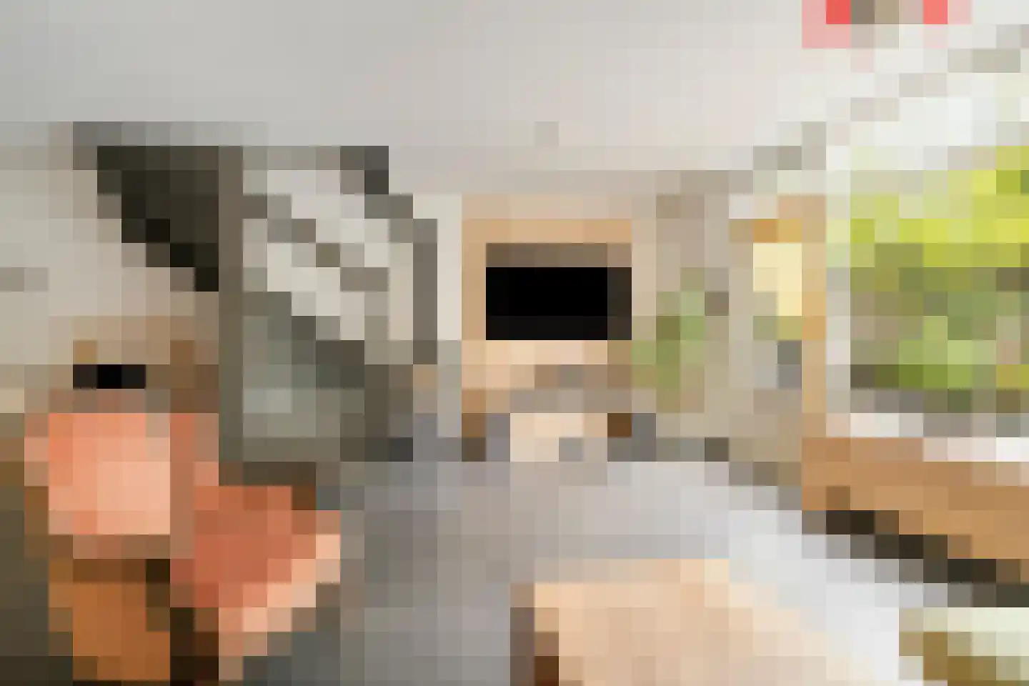 Matjeszoom 1 Koog aan de Zaan foto 2