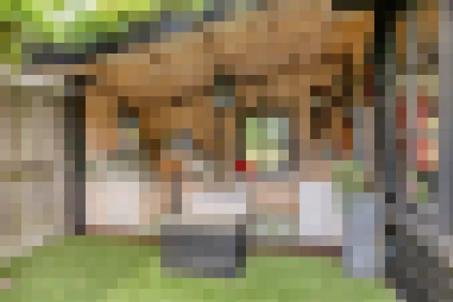 Matjeszoom 1 Koog aan de Zaan thumbnail 33