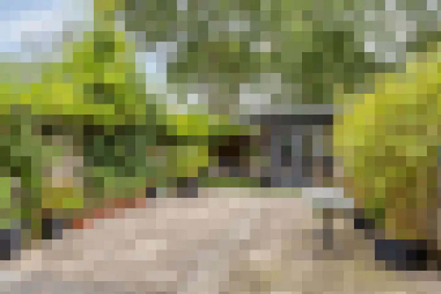 Matjeszoom 1 Koog aan de Zaan thumbnail 34