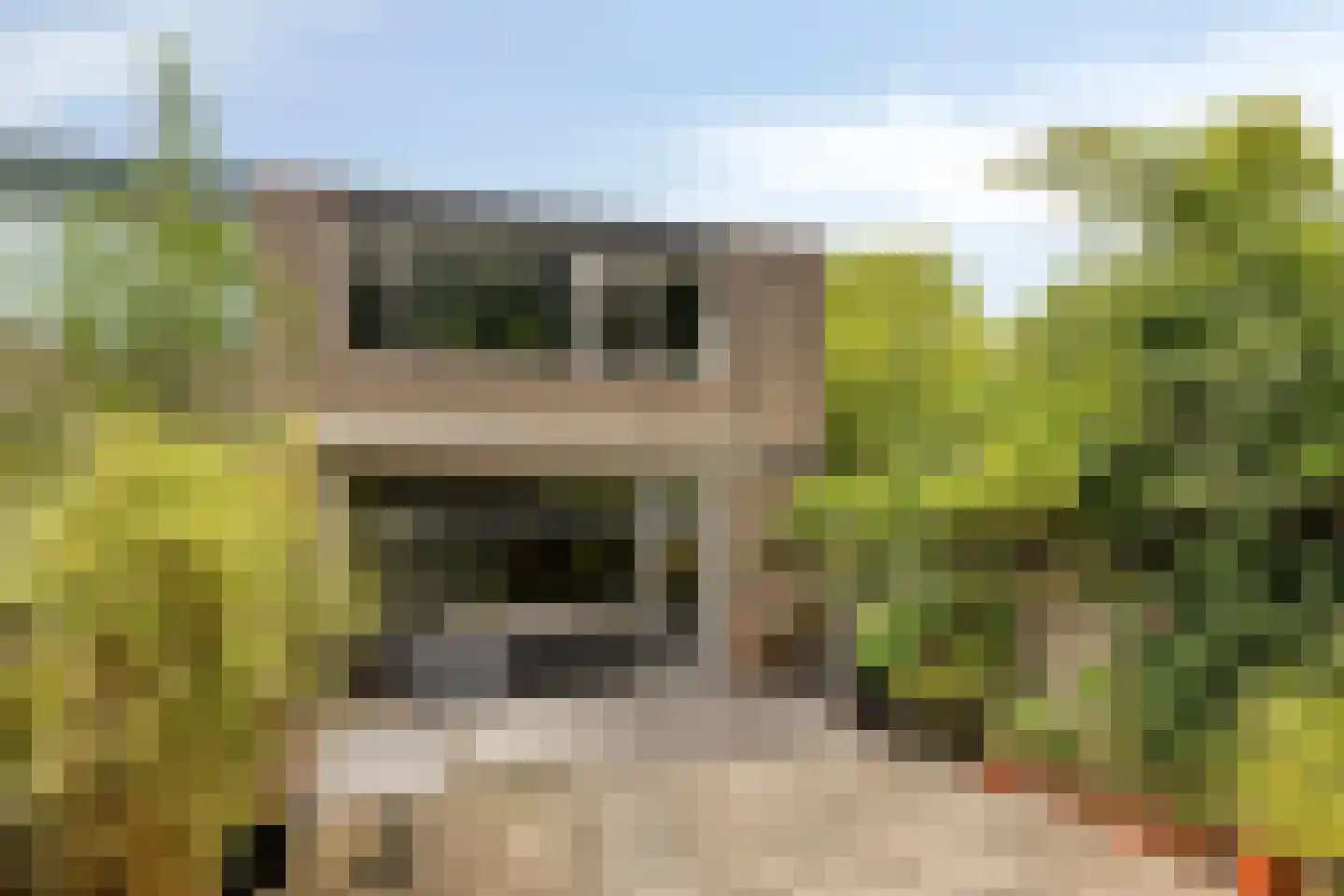 Matjeszoom 1 Koog aan de Zaan thumbnail 35