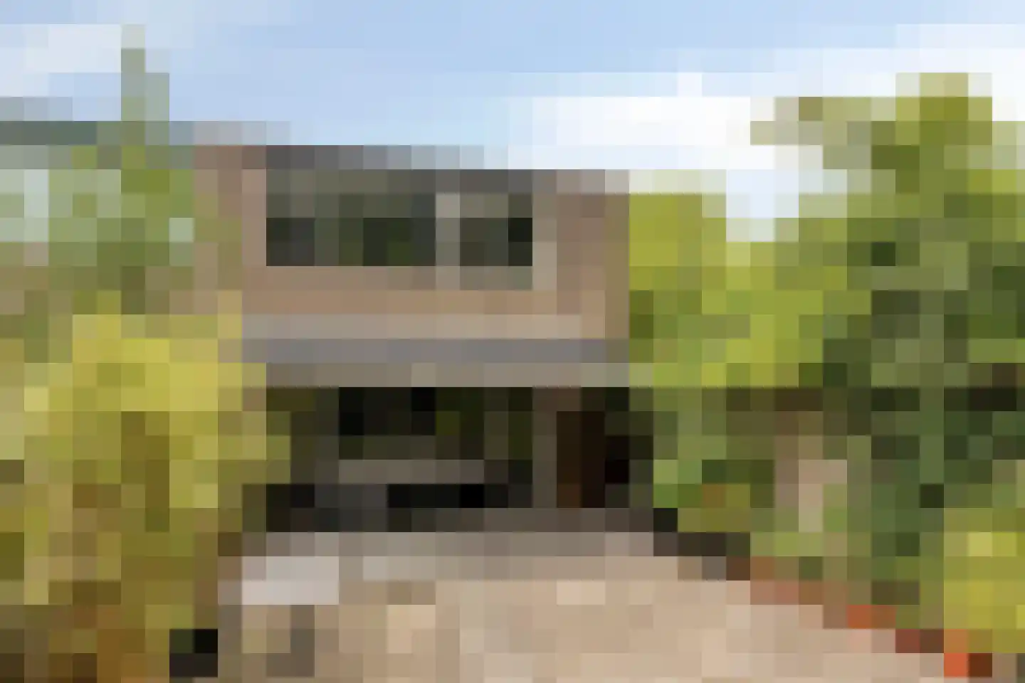 Matjeszoom 1 Koog aan de Zaan thumbnail 36