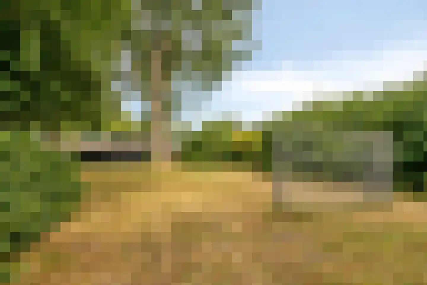 Matjeszoom 1 Koog aan de Zaan thumbnail 39