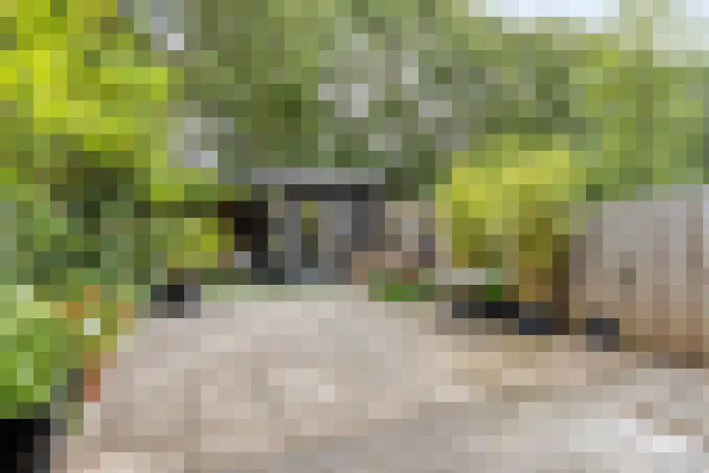 Matjeszoom 1 Koog aan de Zaan thumbnail 4