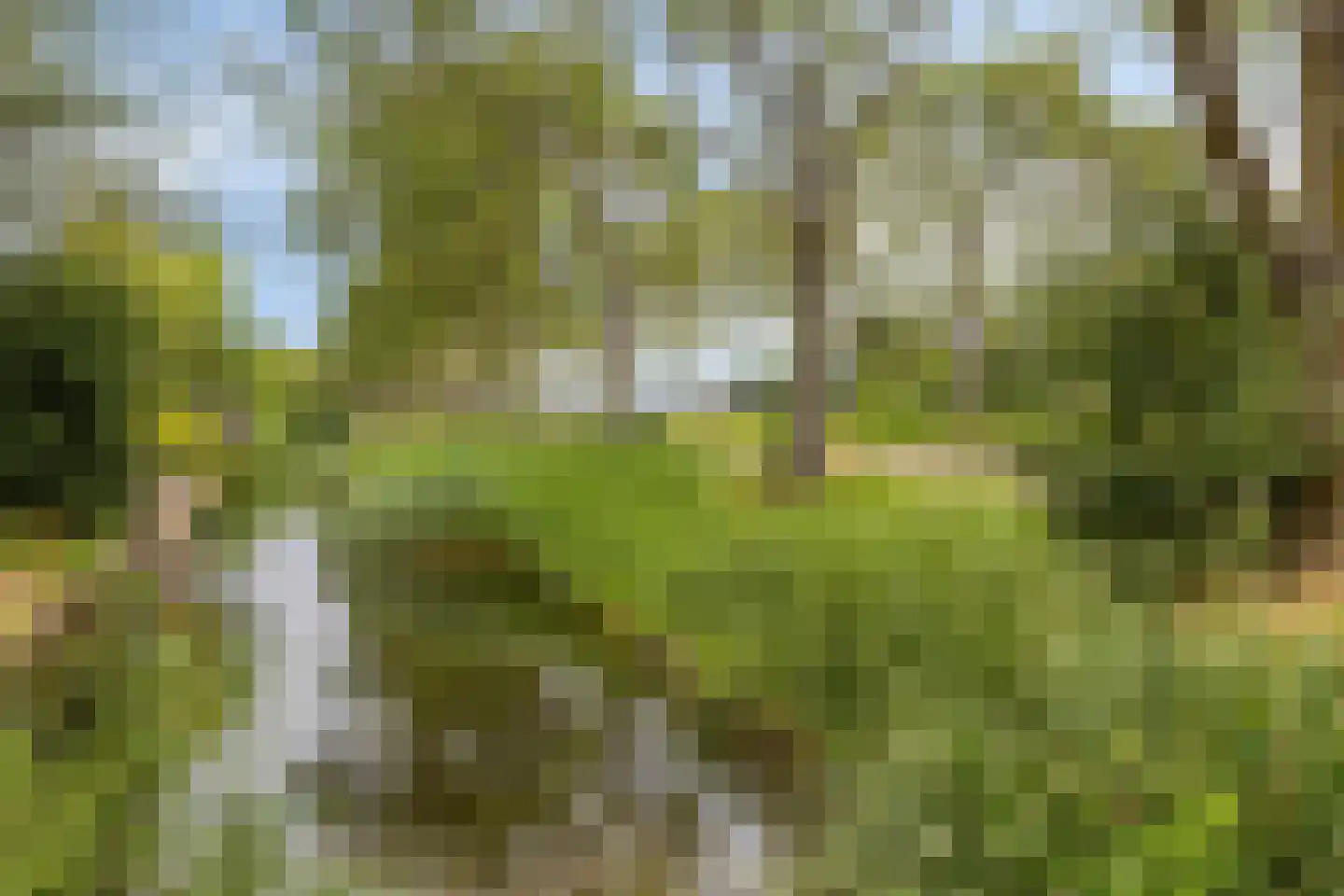 Matjeszoom 1 Koog aan de Zaan thumbnail 40
