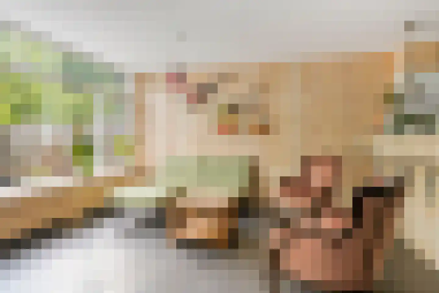 Matjeszoom 1 Koog aan de Zaan thumbnail 9